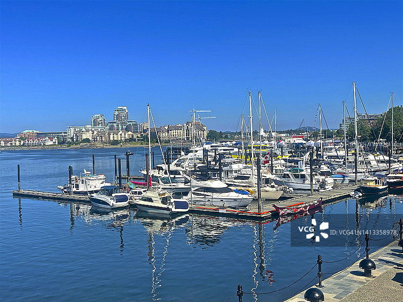 维多利亚内港的船只图片素材