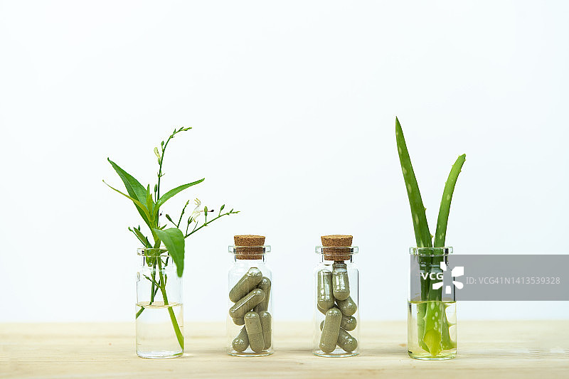 草药，穿心莲，芦荟图片素材