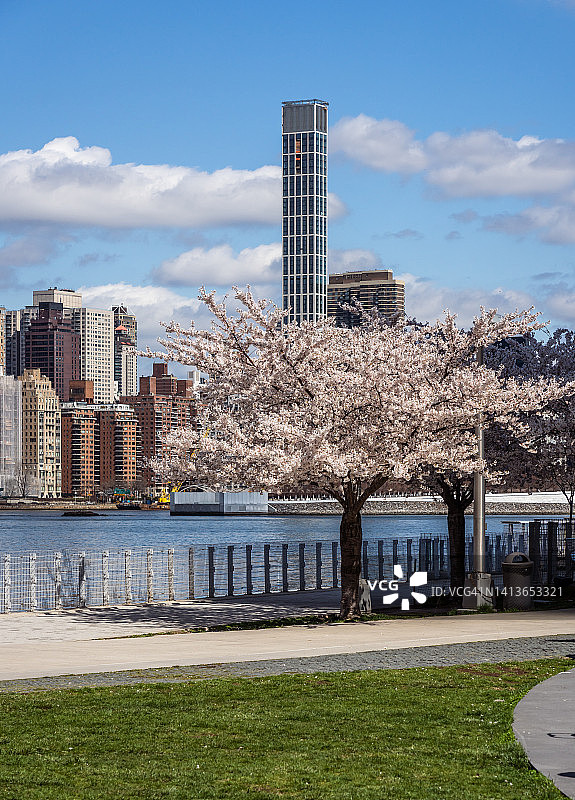 纽约的樱花和萨顿广场天际线图片素材