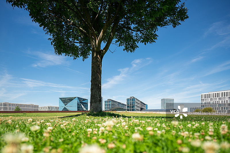 草地上的树与城市天际线背景图片素材
