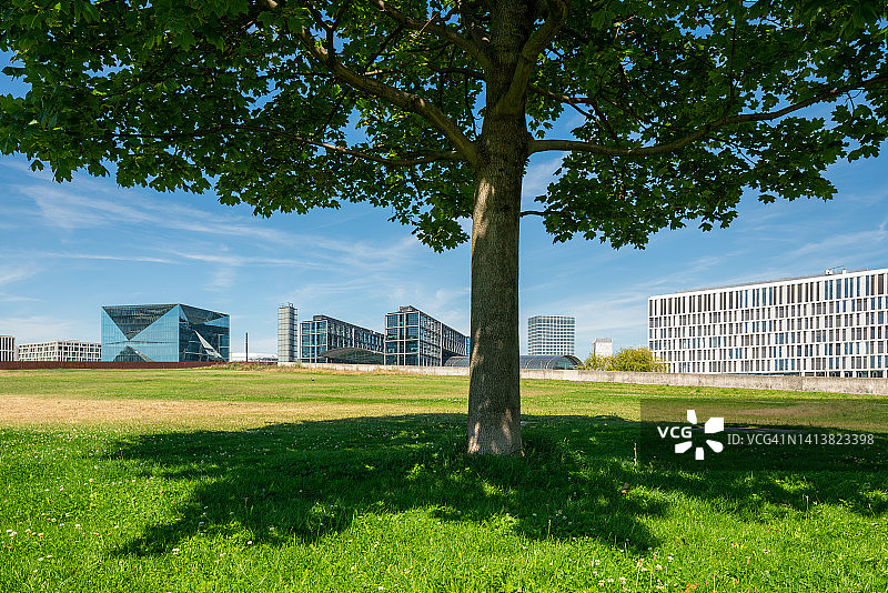 草地上的树与城市天际线背景图片素材