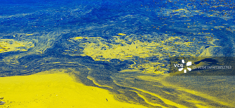 藻类大量繁殖抽象背景：夏季炎热季节的死水，河流植物的自然漩涡图案图片素材