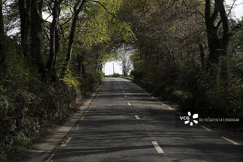 韦克斯福德附近的乡村公路图片素材