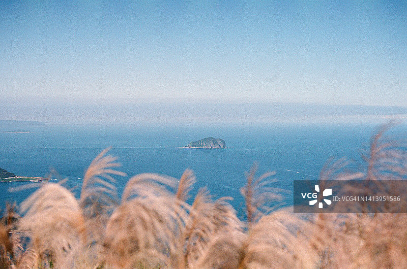 中国台湾金瓜石秋季芒草山谷景色，废弃铜管一路延伸至山顶图片素材