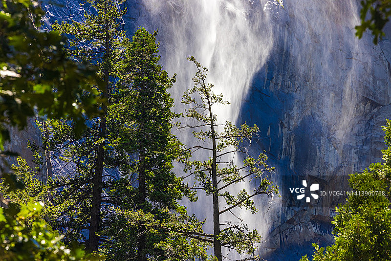 优胜美地国家公园夏季茂盛的绿树和无叶树木下的优胜美地瀑布特写图片素材