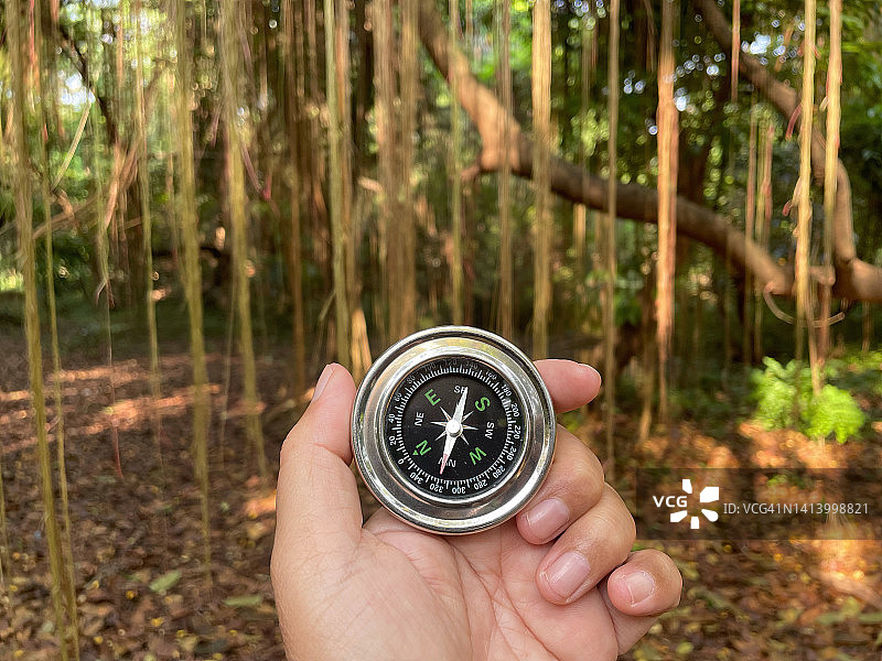 森林中的指南针图片素材
