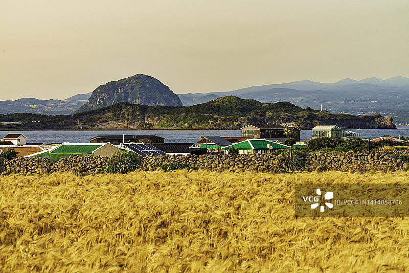 从加波岛远眺山房山、松岳山和麦田图片素材