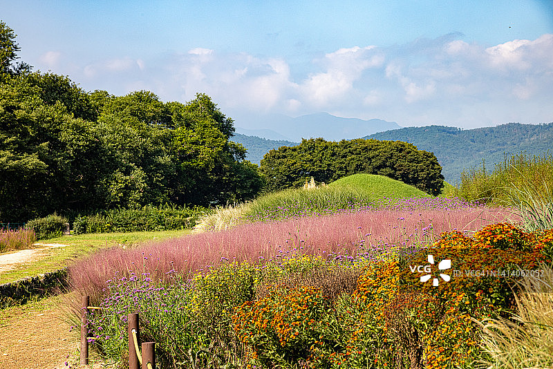 瞻星台图片素材