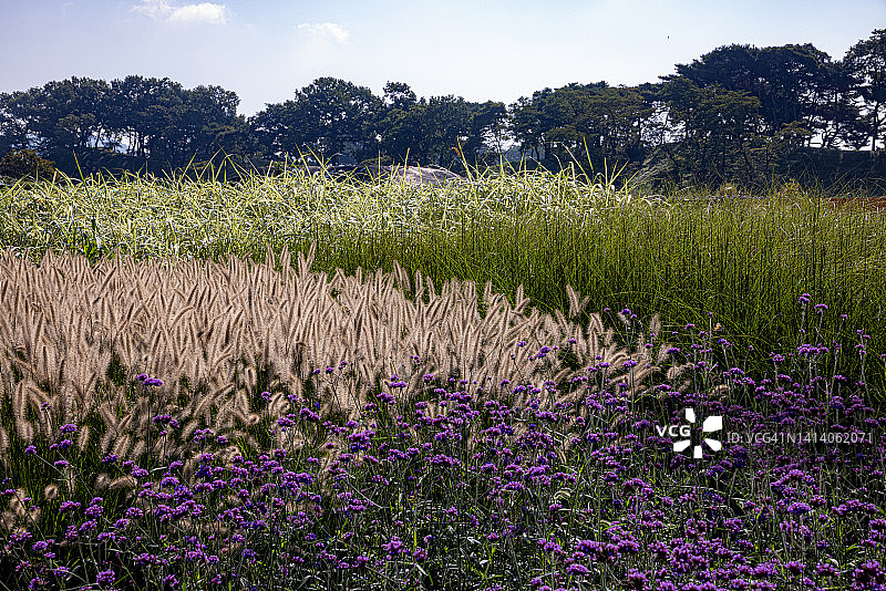 瞻星台图片素材