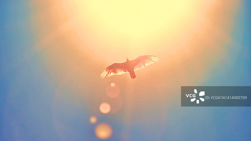 照亮表演图片素材