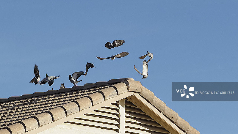 跳跃的空中小队图片素材