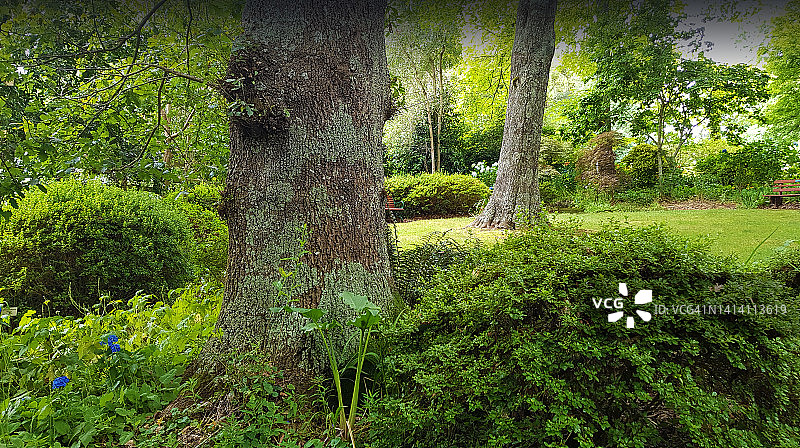澳大利亚维多利亚州丹德农山脉的园林景观图片素材