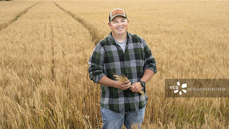 年轻小麦农场主肖像图片素材