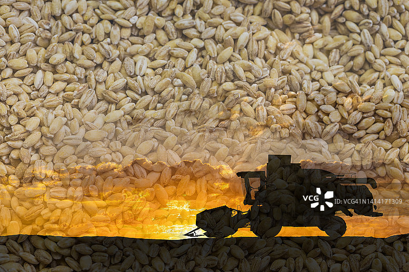 小麦背景下的收割者图片素材