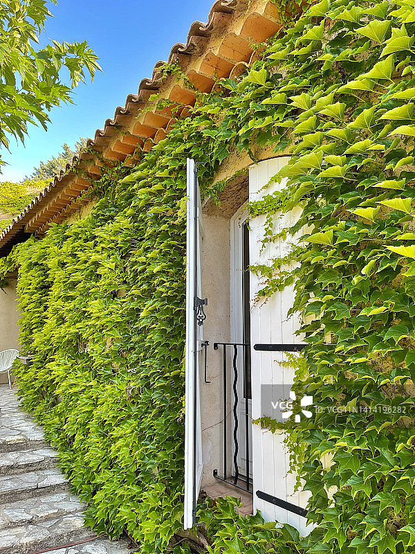 法国普罗旺斯-阿尔卑斯-蓝色海岸大区，阿尔皮耶山莫萨讷的传统百叶窗和葡萄藤墙壁特写图片素材