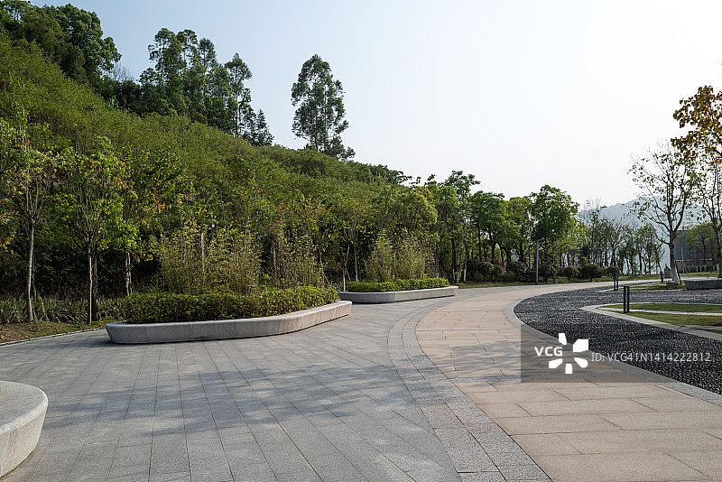 树林广场中的开放空间图片素材