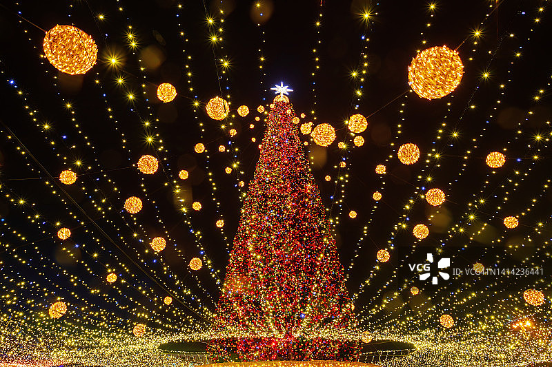 城市广场的夜晚圣诞树图片素材