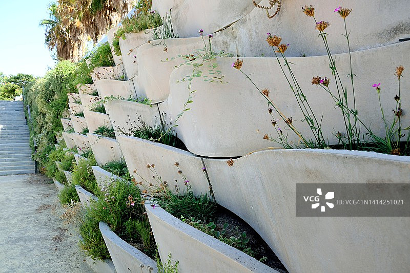 带有垂直花园的墙壁图片素材