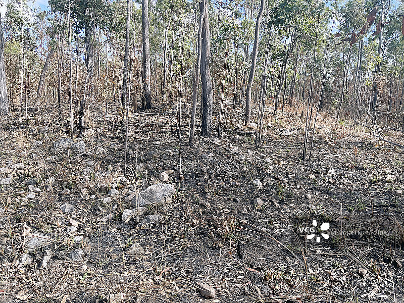 澳大利亚丛林大火区图片素材