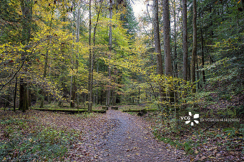 霍金山秋色图片素材