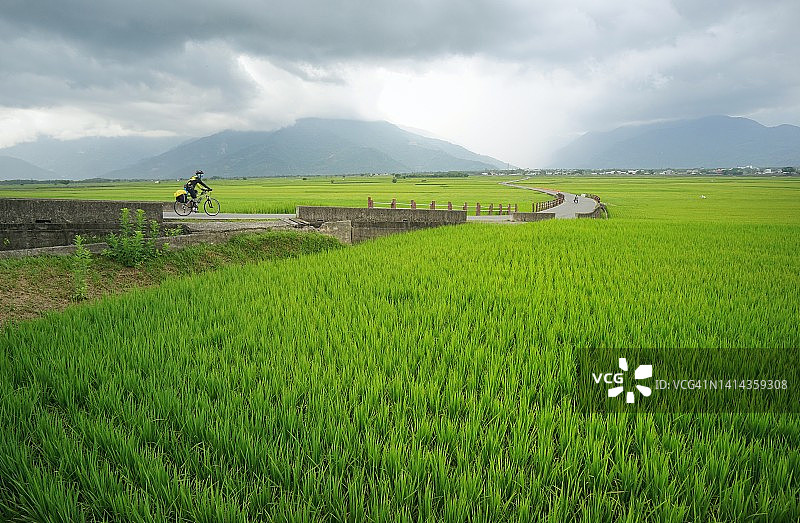在布朗大街骑自行车图片素材