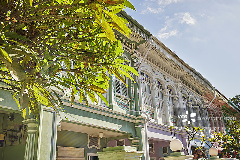 新加坡热带树木与房屋图片素材