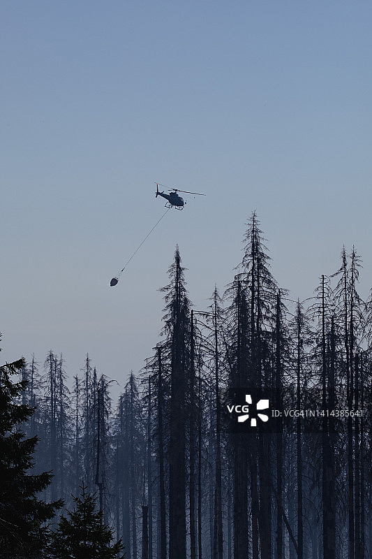 德国哈尔茨山布罗肯希尔克森林火灾图片素材
