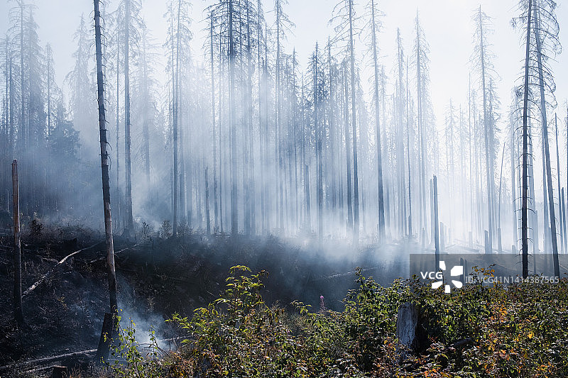 德国哈尔茨山布罗肯希尔克森林火灾图片素材