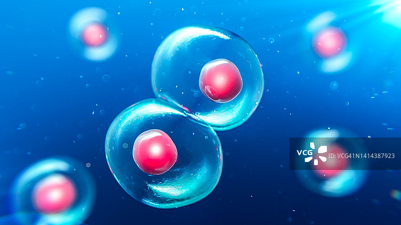 子细胞，图示图片素材