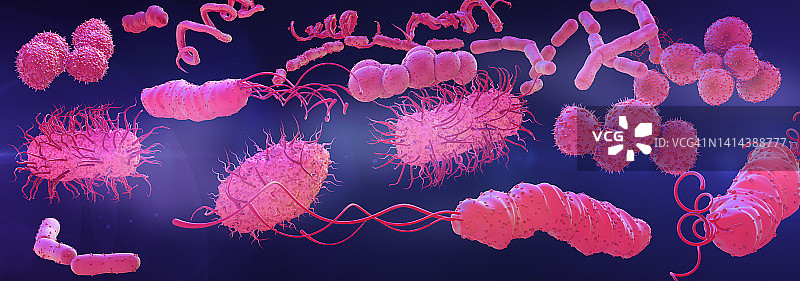 细菌,插图图片素材