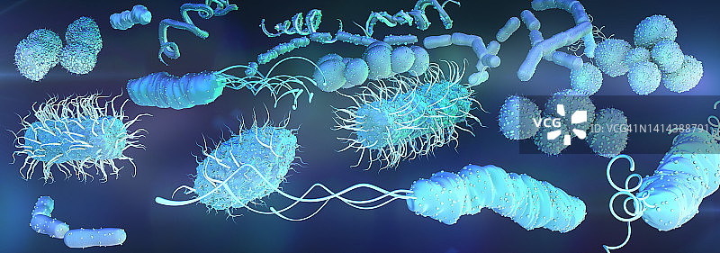 细菌,插图图片素材