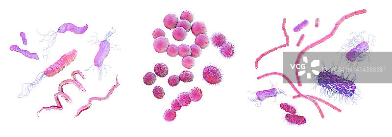 不同细菌形状，图示图片素材