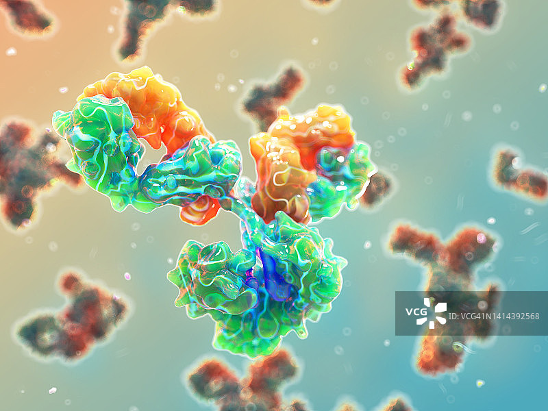 IgG抗体插图图片素材