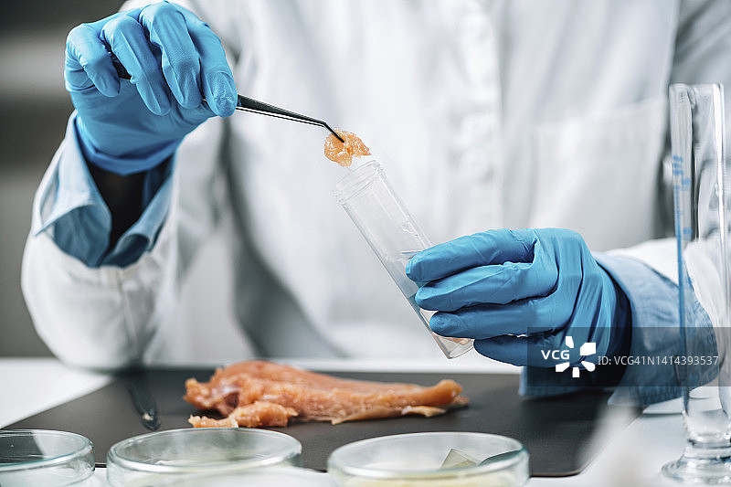 家禽抽样质量检验员图片素材