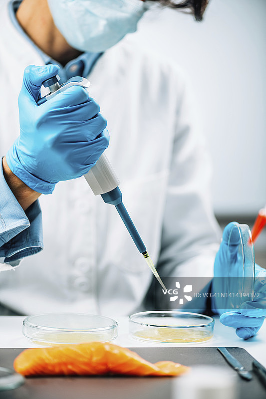 质量控制检验员检测鱼类样品图片素材