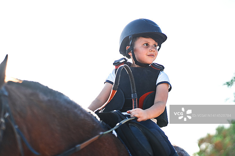 快乐男孩骑棕色马图片素材