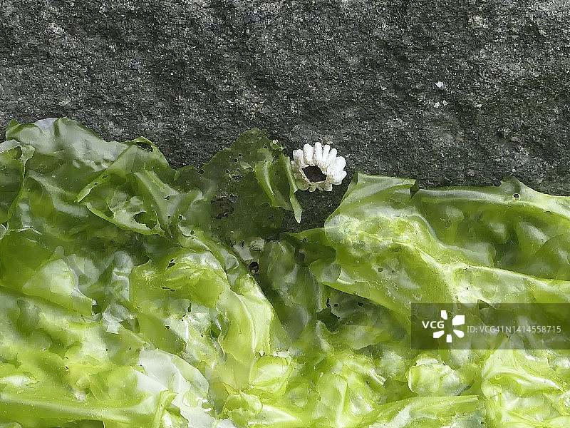 你就是天空中唯一的星星图片素材