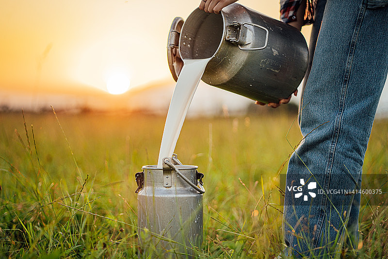 年轻女人站在田野里往容器里倒生牛奶图片素材