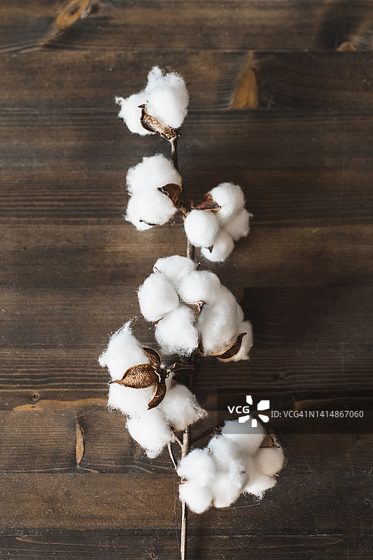 木质背景上的棉花枝图片素材