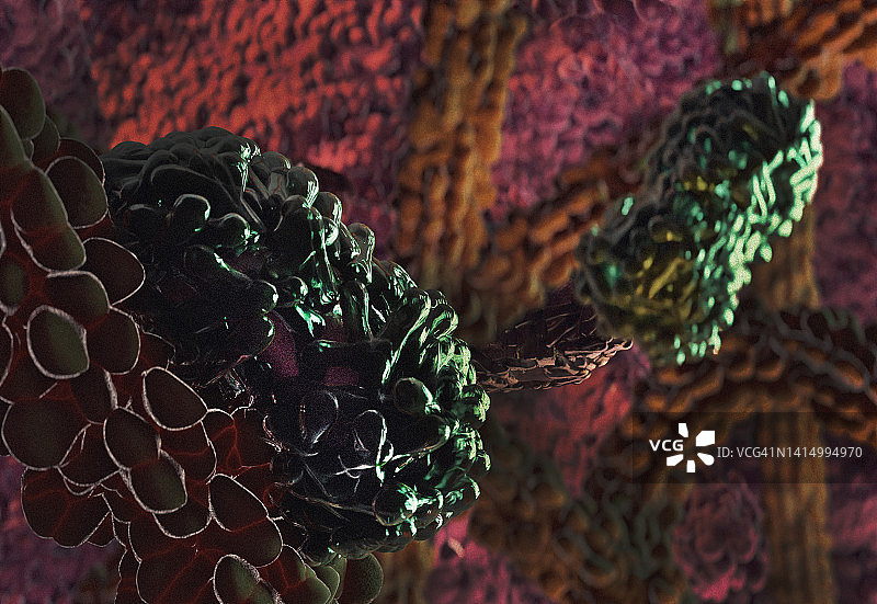 猴痘病毒感染细胞的显微镜细节图片素材