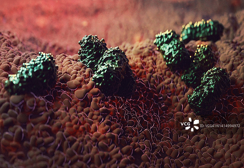 猴痘病毒感染细胞的显微镜细节图片素材