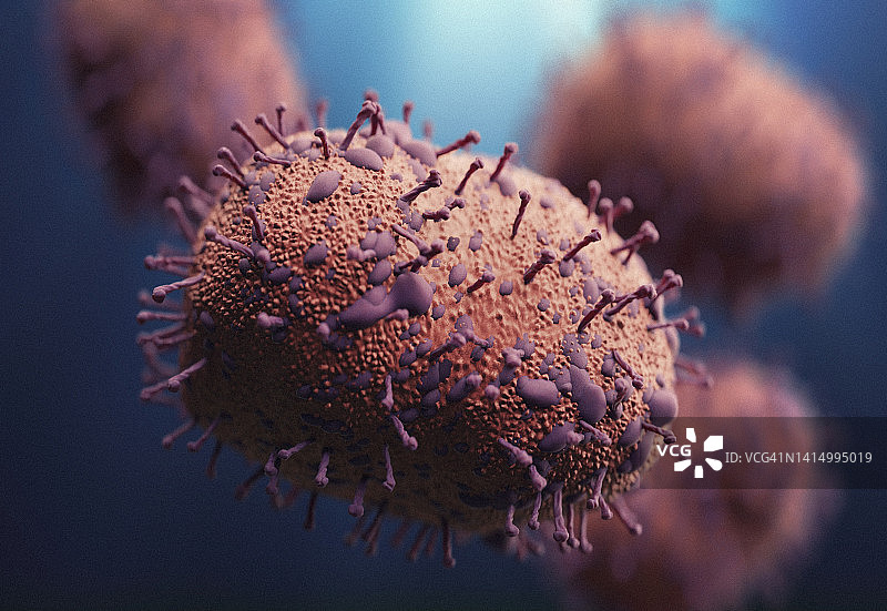 H1N1型猪流感病毒结构图片素材