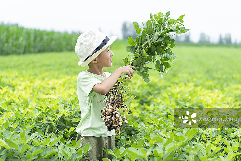 一个中国孩子图片素材