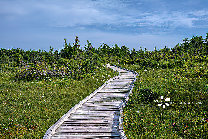 加拿大新斯科舍省高地湿地木板路图片素材