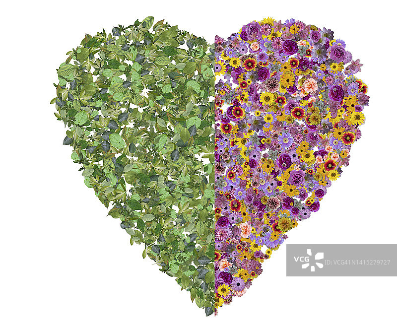 心形彩色花叶背景图片素材