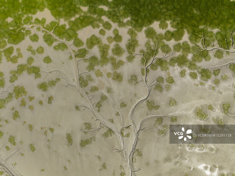 潮汐变化形成的壮丽自然形态和纹理鸟瞰图图片素材