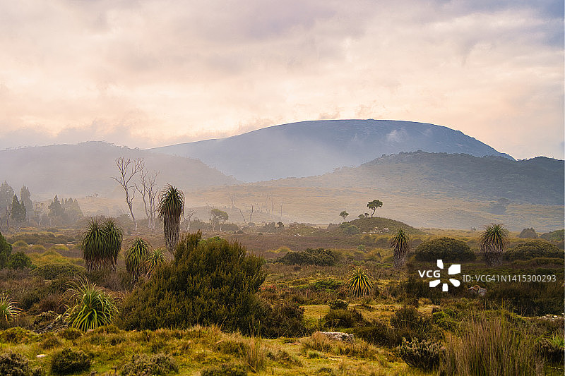 摇篮山国家公园图片素材