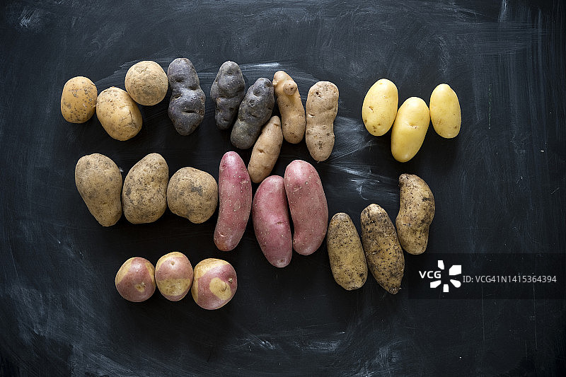 黑色背景下的各种马铃薯的摄影棚照片图片素材