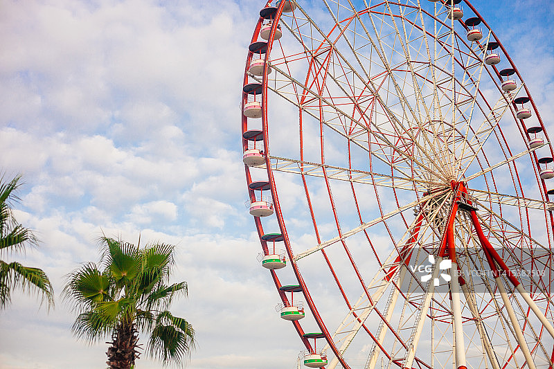 蓝色天空和棕榈树下的摩天轮图片素材