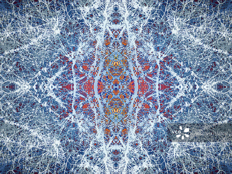 抽象视觉：拉德利低角度阳光下的树木图片素材